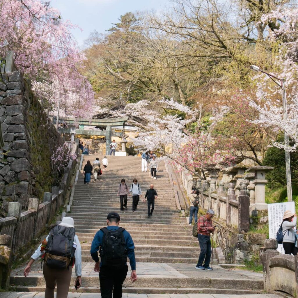 kotohira shrine hike
©Manon Mathieu