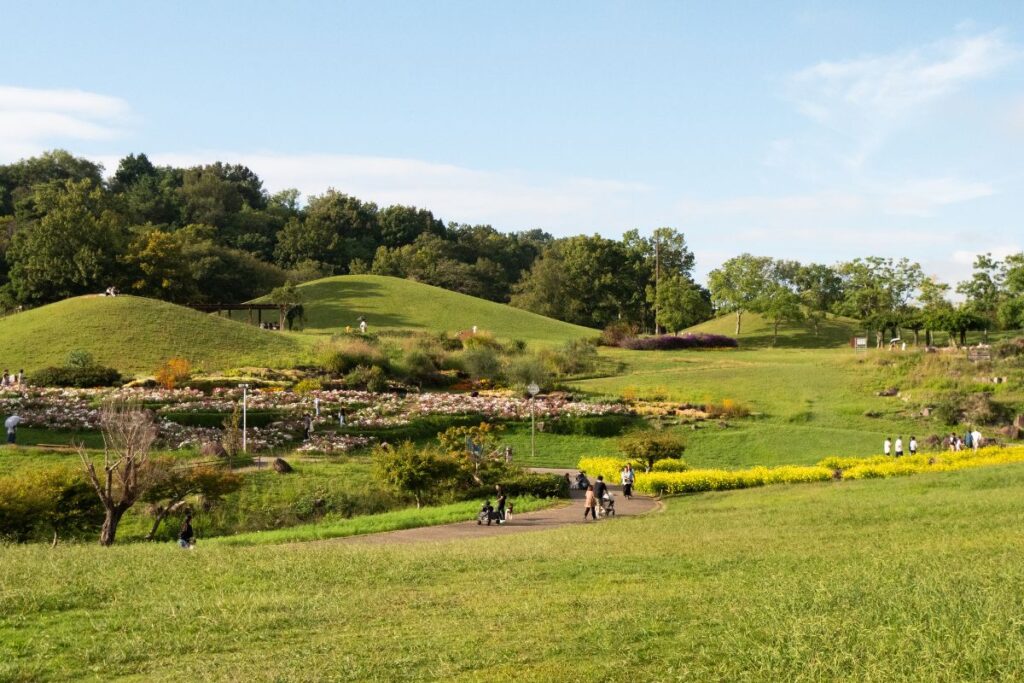 What to do in Kotohira? A walk in Manno Park.
©Manon Mathieu