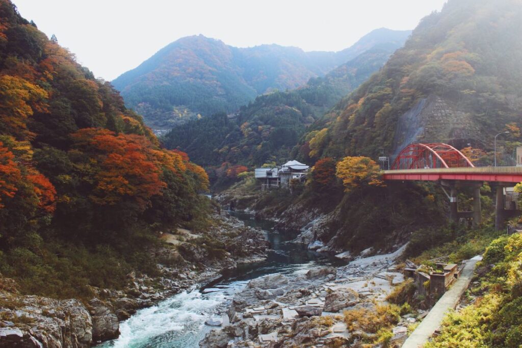 Discover autumn, most colourful season in Kotohira