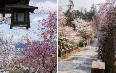 Seasons in Kotohira, When To Visit Kagawa?