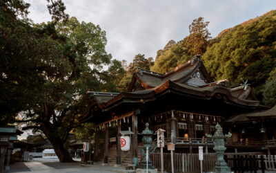 Kotohira-gu Shrine – What to See & Do