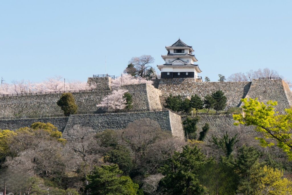 View of Marugame castle in spring time