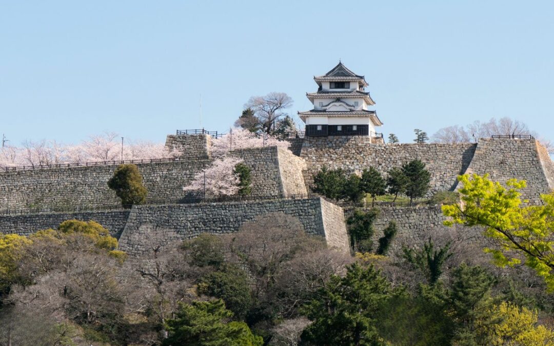Day Trip to Marugame from Kotohira, Art & Culture 20min Away
