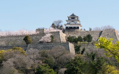 Day Trip to Marugame from Kotohira, Art & Culture 20min Away