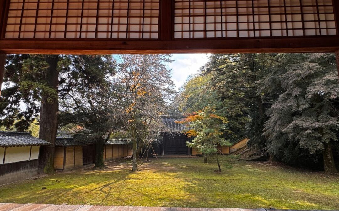 Kotohira Culture Guide: Best Museums, Exhibitions & Artistic Spots