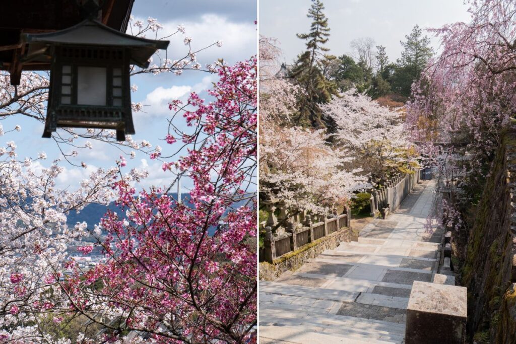 Spring time in Kotohira ©Manon Mathieu