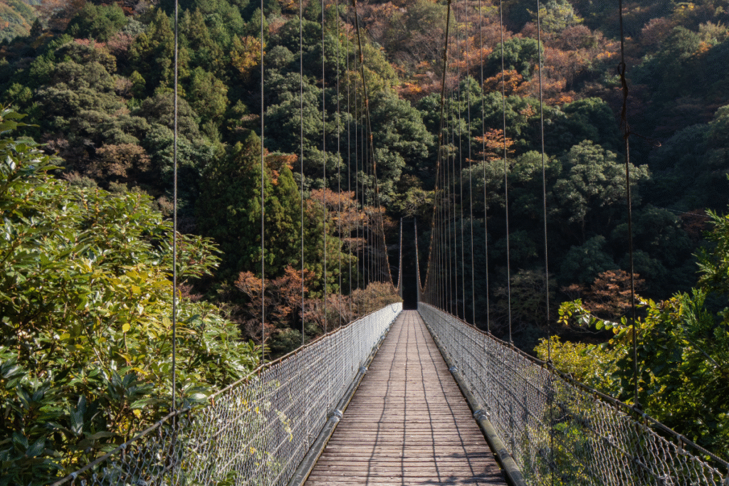 First stop, the modern bridge with scenic views ©Manon Mathieu