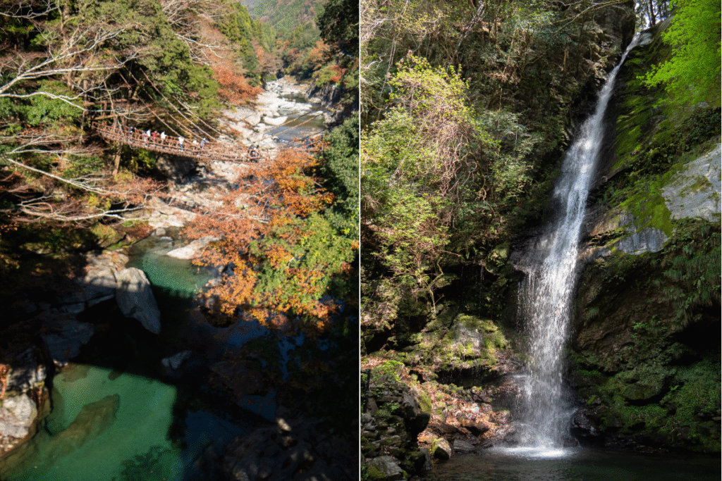 Falls and bridge with beautiful colors, must do in Iya valley day trip from Kotohira ©Manon Mathieu