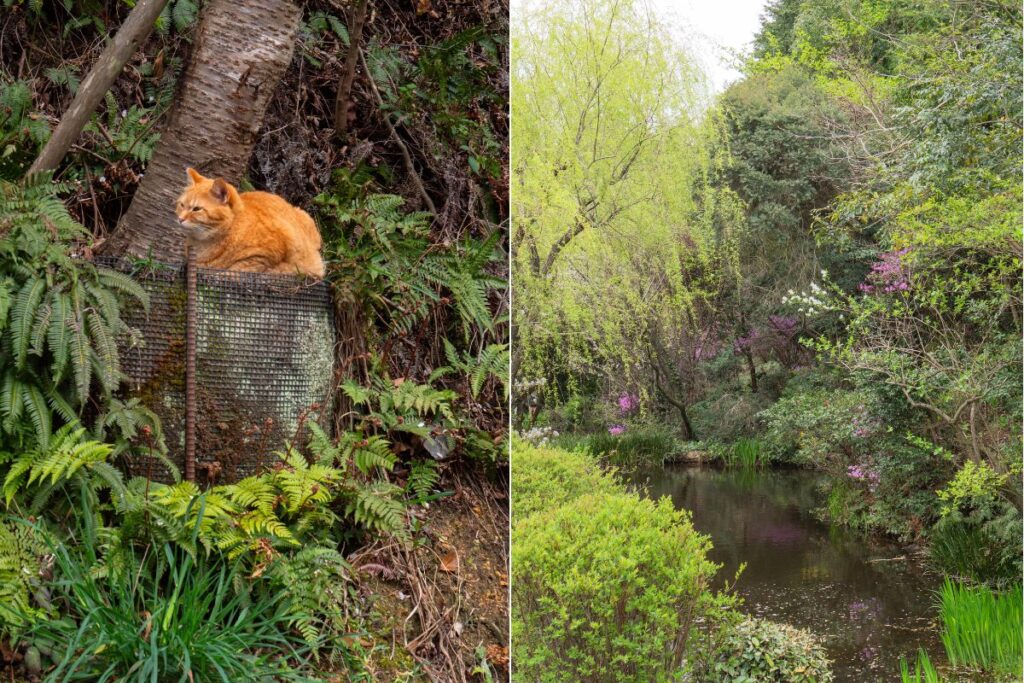 Garden and nature between museums. ©Manon Mathieu