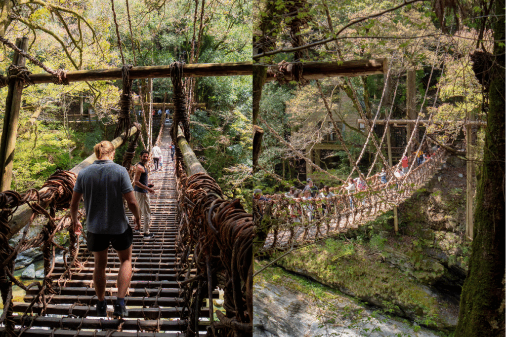 The famous Iya Valley vine bridge, an experience to do! ©Manon Mathieu