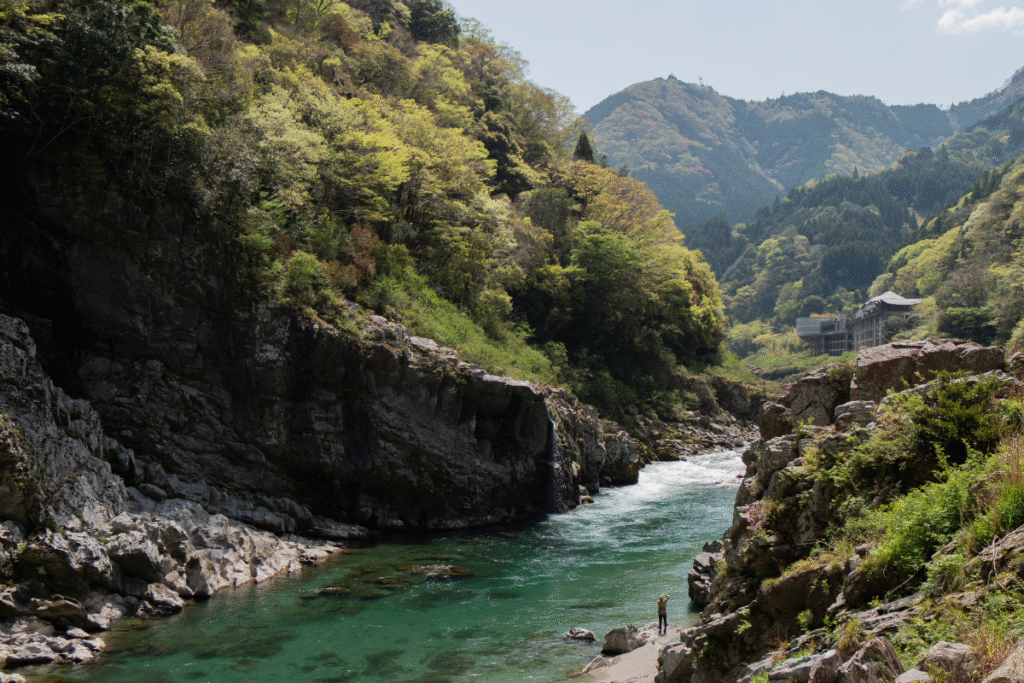Inside the gorge with the boat ©Manon Mathieu