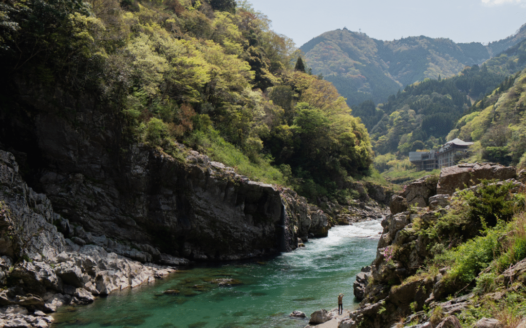 Day trip to Iya Valley: explore Shikoku’s wild heart