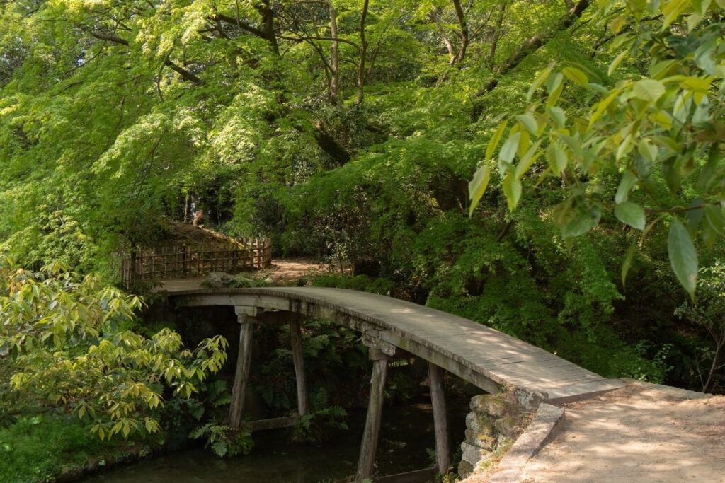 Walking inside the green lush of the garden in Takamatsu ©Manon Mathieu