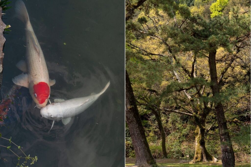 A walk in the nature, perfect break for digital nomad in Kagawa, Japan  ©Manon Mathieu