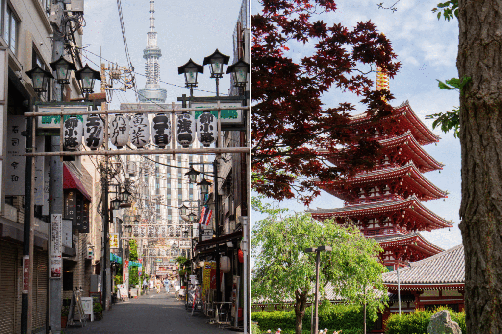 City or countryside, differents vibes but a nice Digital Nomad Japan experience ©Manon Mathieu