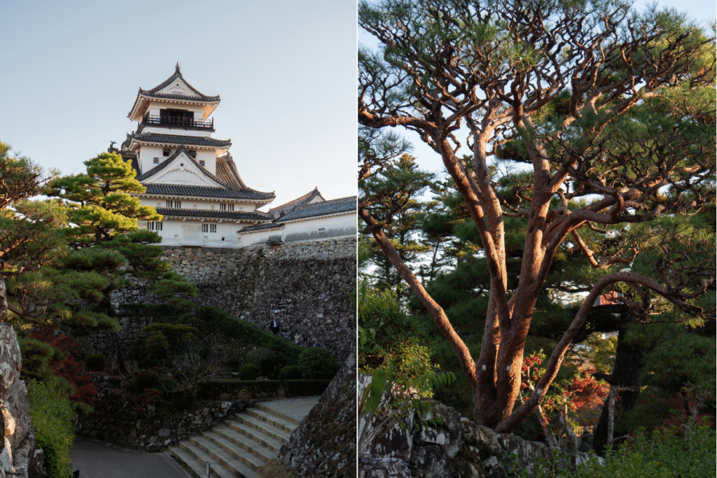 View from the park around Kochi castle ©Manon Mathieu
