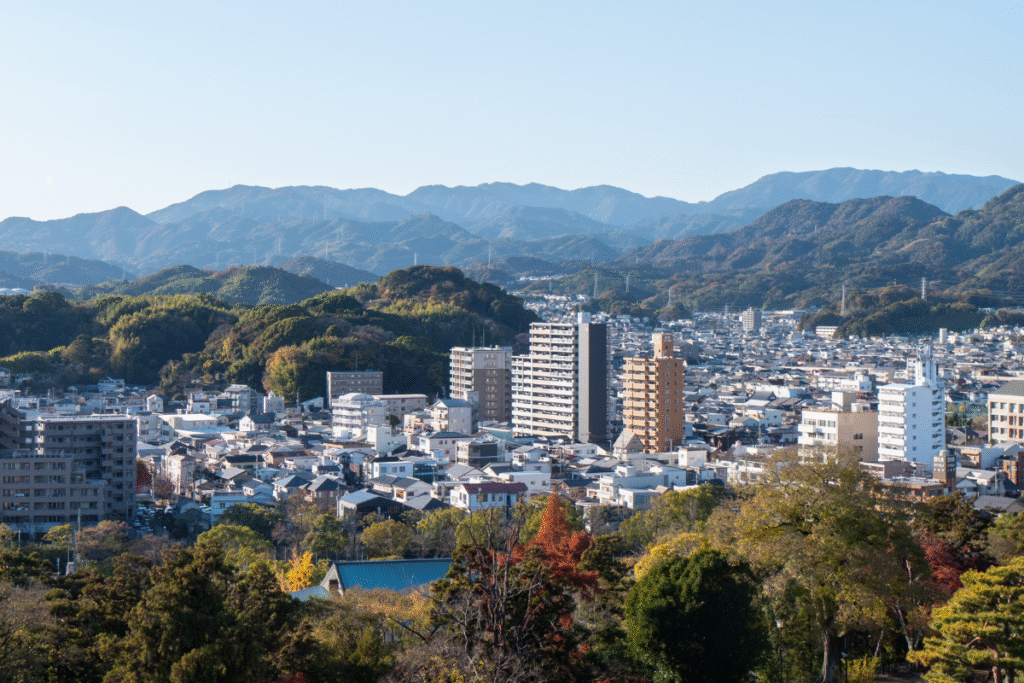 View over Kochi from Kochi Castle ©Manon Mathieu