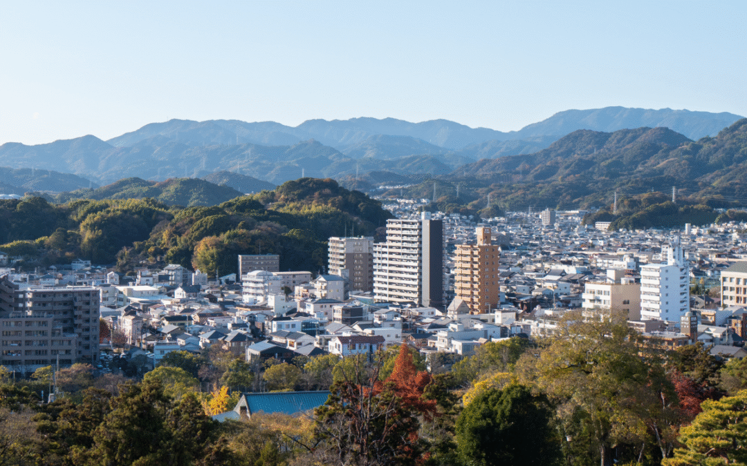 Day Trip to Kochi from Kotohira