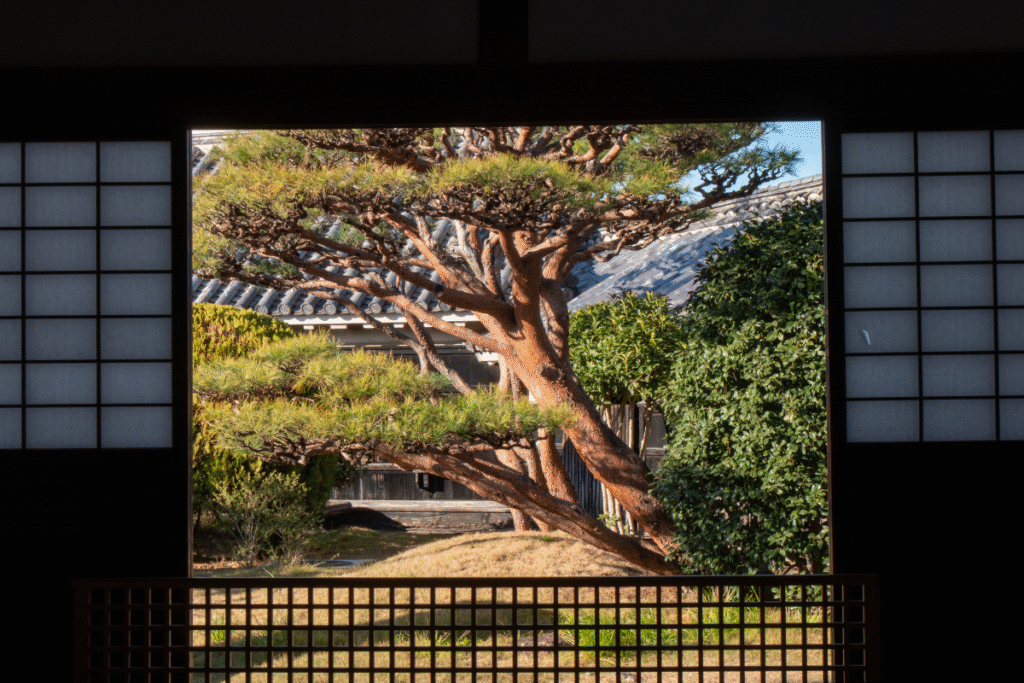 Inside Kochi castle ©Manon Mathieu