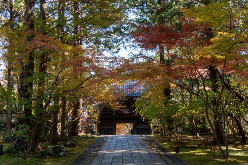 Walking toward Five storied pagoda of Kochi in autumn ©Manon Mathieu