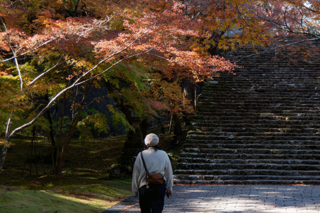 Five storied pagoda approach ©Manon Mathieu