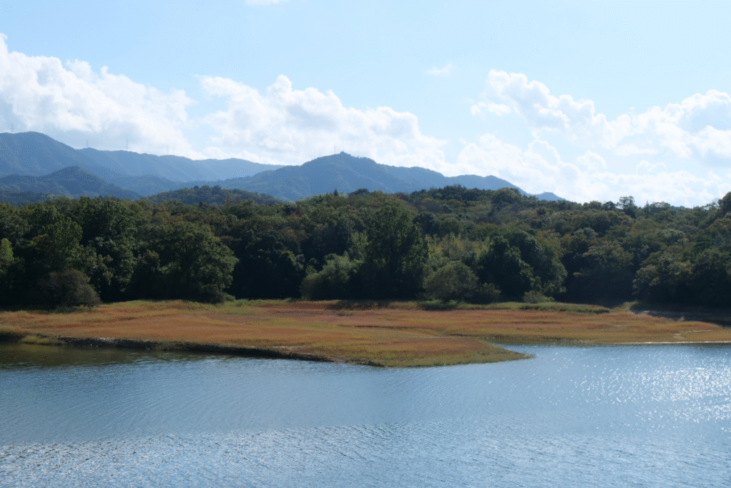 Manno Lake view ©Manon Mathieu