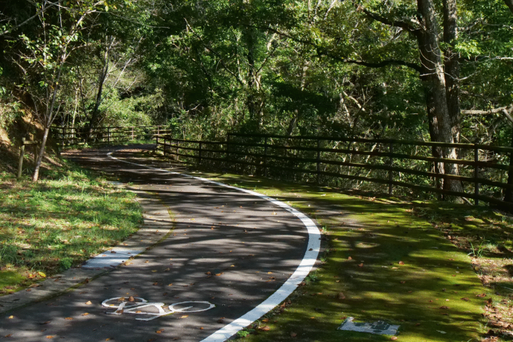 Cycling route near Manno Lake with lots of viewpoints. ©Manon Mathieu