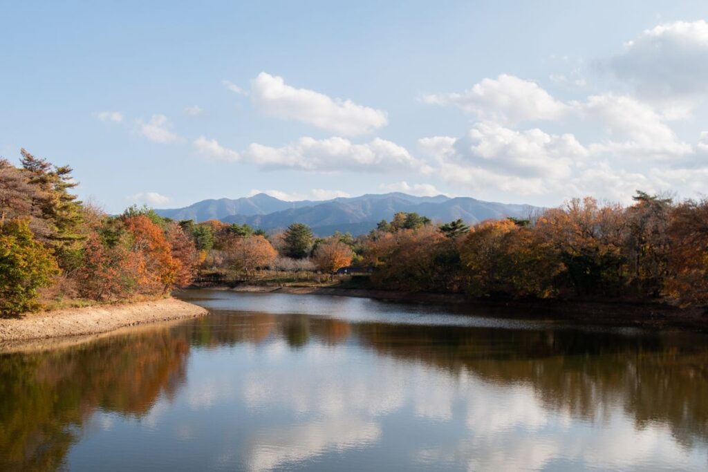 Lakeside viewpoints from Manno Park ©Manon Mathieu