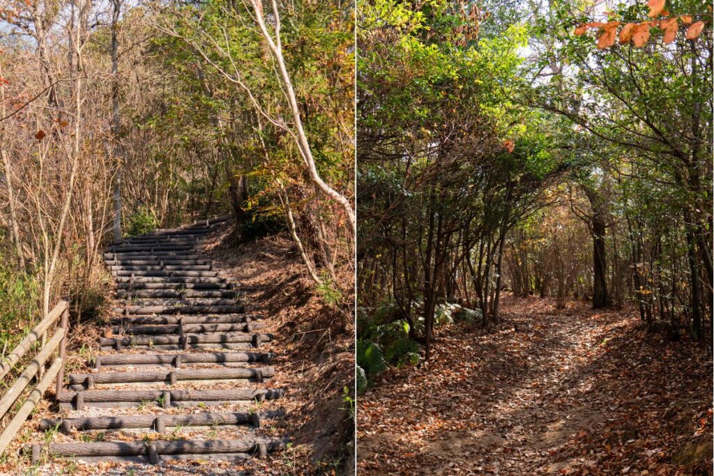 Walk into the wood of Sanuki Manno Park, perfect for a sunny day in summer. ©Manon Mathieu