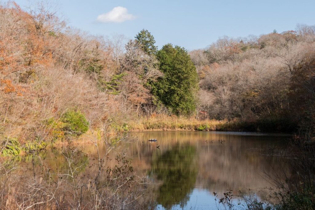 Ecological garden and wetland inside the park ©Manon Mathieu