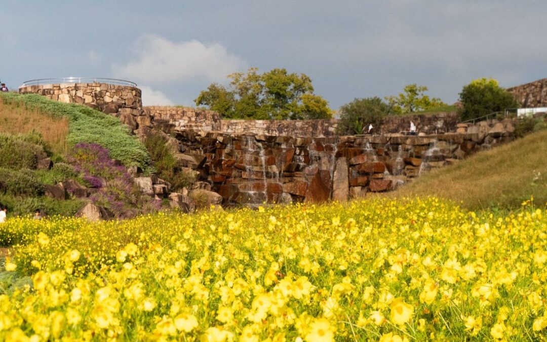 Explore Sanuki Manno Park from Kotohira