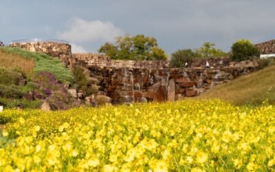 Explore Sanuki Manno Park from Kotohira