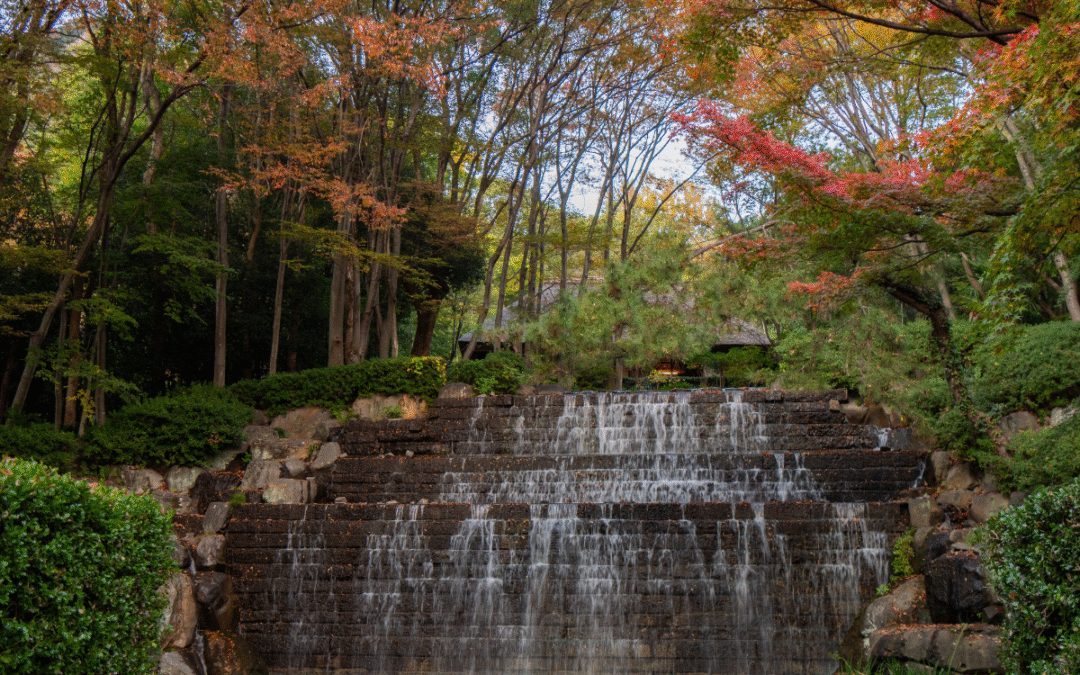 Explore Takamatsu by Car from Kotohira