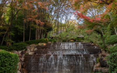 Explore Takamatsu by Car from Kotohira