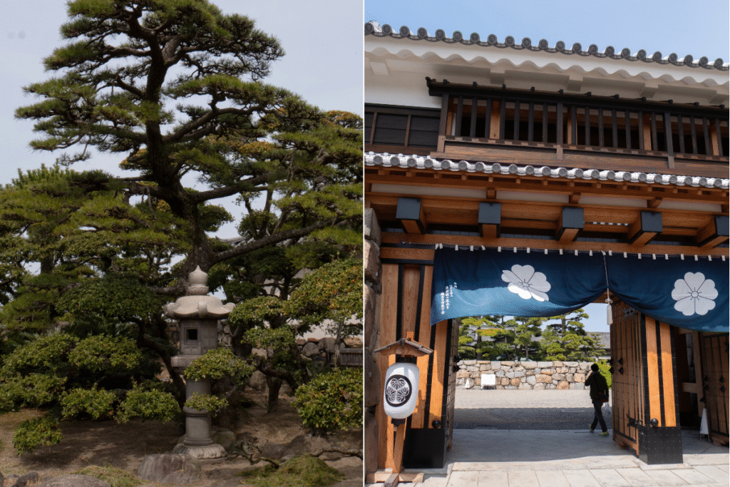 Visit the parc of Takamatsu city near the castle ©Manon Mathieu