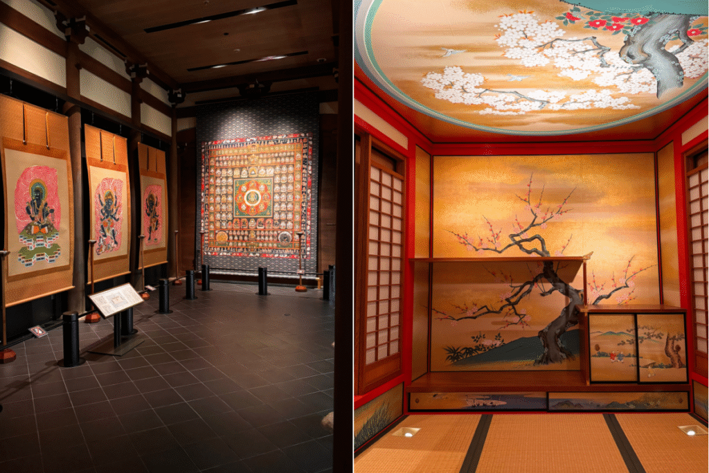 Some highlights you will see in the museum ©Manon Mathieu