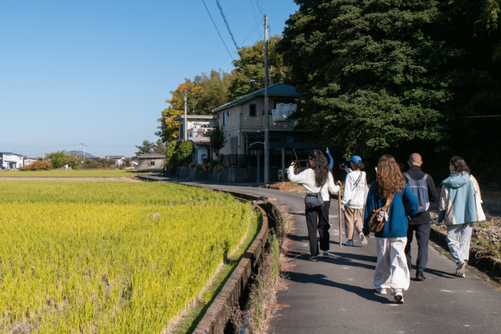 Walking in the middle of rice fields during the Shikoku pilgrimage day ©Manon Mathieu