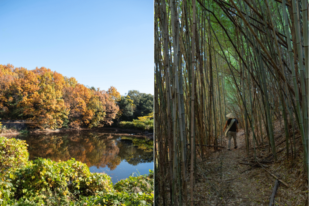 From  Iyadani-ji to Mandara-ji temple ©Manon Mathieu