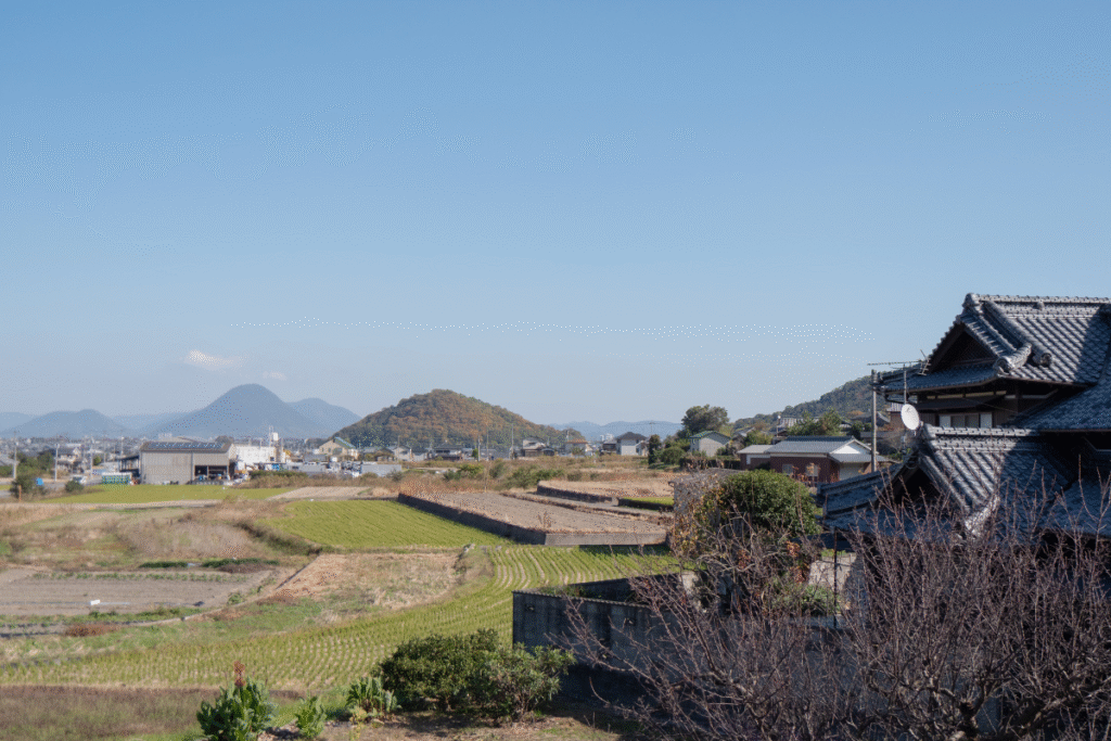 View over the rice fields ©Manon Mathieu