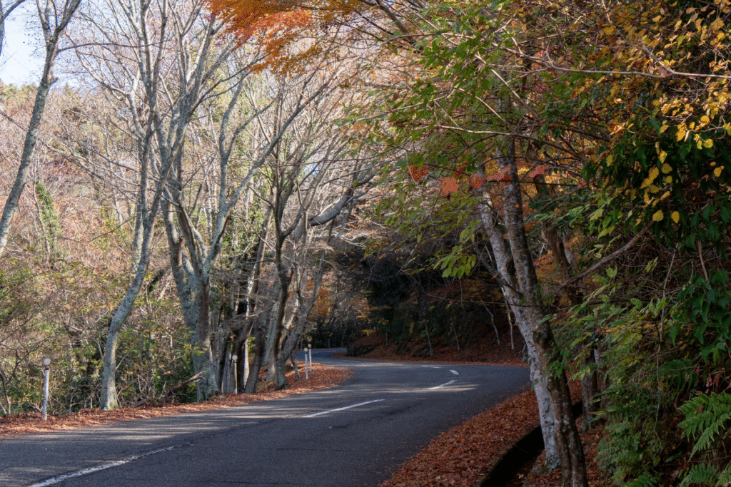 Road to Kankakei National Park and viewpoints in Shodoshima Island ©Manon Mathieu